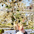 은성(201) 이미지