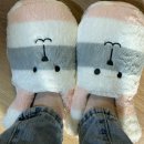 あつまれ、どうぶつの森へ！