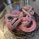 벌떡꼼장어