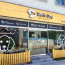 한스애견카페 이미지