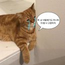 동백도서관 이미지