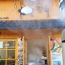 거북이만두 이미지