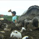 바다아리 이미지