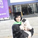 속초애견미용학원