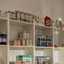 애견멀티샵 이미지