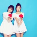 미스터포 이미지