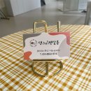 댕그리 펫 살롱 이미지