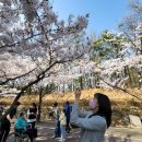 경기도 수원시 권선구 권중로 171 이미지