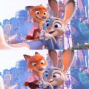 로제펫샵 | 즐길 마음만 있다면 신날 거야