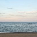 해송피크닉장 이미지