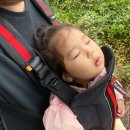 HS푸드 | [서울 축제] 서울 ADEX 2025 퍼블릭데이 후기 (2025.10.18)