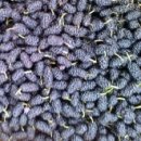 청해농장 이미지