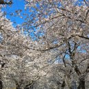 구림보건지소 이미지