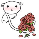 이지비야 이미지