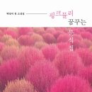핑크핑크 분식