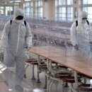 대구광역시학교안전공제회 이미지