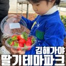 가야(주) | 김해가야딸기테마파크 제발 방문하세요 재방문의사100%후기