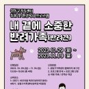 매너독반려견교육센터 이미지