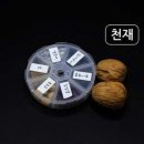 H0451 쇼핑하우
