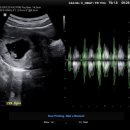 포유문산부인과의원 이미지