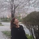 산적 통갈매기 세종점