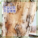 21. 1. 24 한길교회 주일예배 이미지