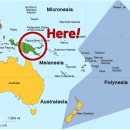 뉴태평양 이미지