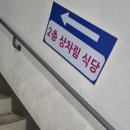 [수원/수원시청] 정훈수산에서 탄탄한 제철 방어 먹은 후기 / 수원농수산물도매시장 방어회 구매 방법...