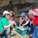 제주포인트투어 이미지