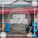 등골 | 거미식당] 대구맛집 리스트 필수 🕷️ 왕거미식당 솔직 리뷰 🥩뭉티기·오드레기·등골 현지인 추천 별미 후기