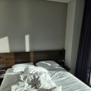 정든돼지국밥 | 3박 4일 부산여행 (4일차) : 부산 송도해수욕장 24시간 토렴식 송암 돼지국밥 아침 해장 솔직 후기