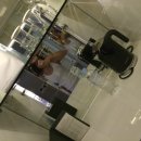 파라다이스호텔신관 이미지