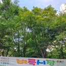 트리지움치과의원 이미지