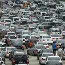 슬기로운 동물병원 이미지