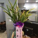 동그리 당구클럽 이미지