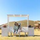 미영목장 이미지