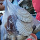 파도소리펜션 이미지