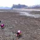 갯벌보러가는길 이미지