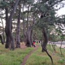 나로우주해수욕장 이미지