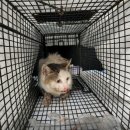 제주오름동물병원 이미지