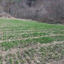 한진농장 이미지