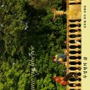 밝은미래작은도서관 이미지