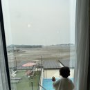 미스터와이 애견풀빌라 | 애견동반 키즈풀빌라, 영흥도 미스터와이 풀빌라