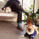 다소니펜션 이미지