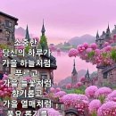 리필로 청해둡니다 이미지