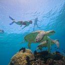 구명카써비스 이미지