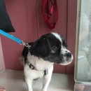 신석초교 이미지