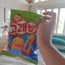 오션컴퍼스 | 251010 다시 밀라이두 넷째날 - 첫스노쿨도전~ / 스노쿨 부작용 = 멀미 ㅠ