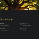 행운나무복권 이미지