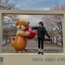 씨유나눔충주호암점 | 충주 호암지 생태공원 벚꽃 실시간 개화상황, 카페 추천 (4월 9일 방문)